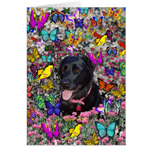 Abby in Butterflies - Svart lab Hund OBS Kort