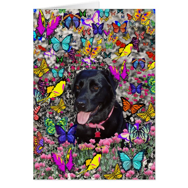 Abby in Butterflies - Svart lab Hund OBS Kort (Framsidan)