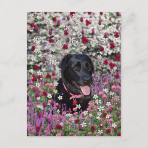 Abby in Flowers - Svart lab Hund Vykort