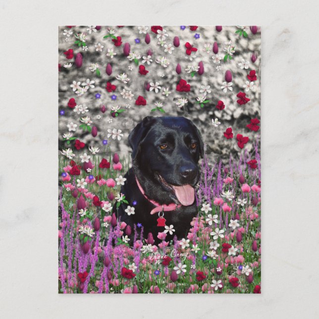 Abby in Flowers - Svart lab Hund Vykort (Framsida)