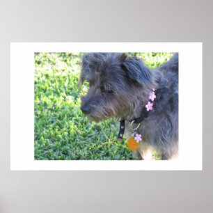 Abby Mae Poster