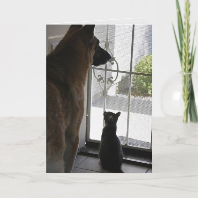 Abby med Zorro-årskort Kort (Framsida)