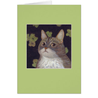 Abby the Cat OBS Kort