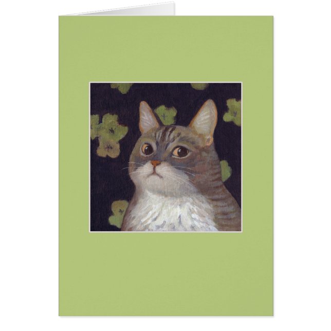 Abby the Cat OBS Kort (Framsidan)