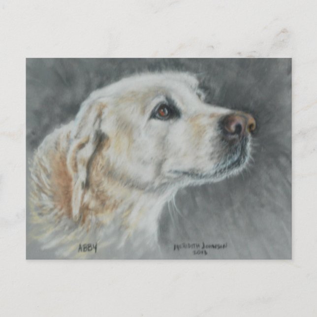 Abby vykort (Framsida)