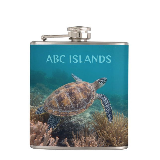Abc island turtle fickplunta (Framsidan)