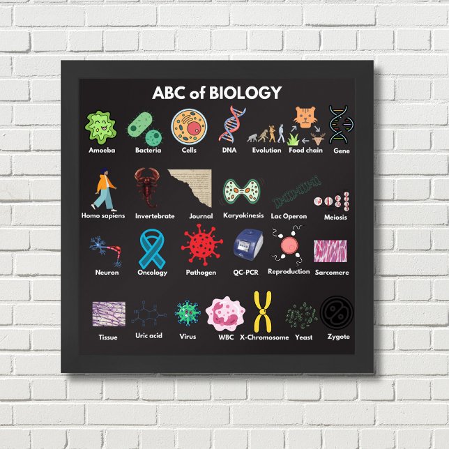 ABC of Biology Poster (Skapare uppladdad)