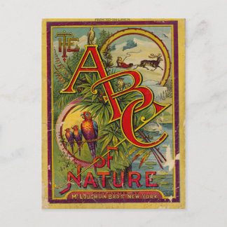 ABC of Nature Vykort