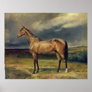 Abdul Medschid'the chestnut arab horse, 1855 Poster