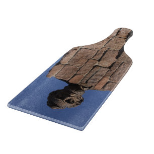 Abe Lincoln Cshing Board