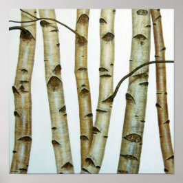 Abedules Blancos Poster