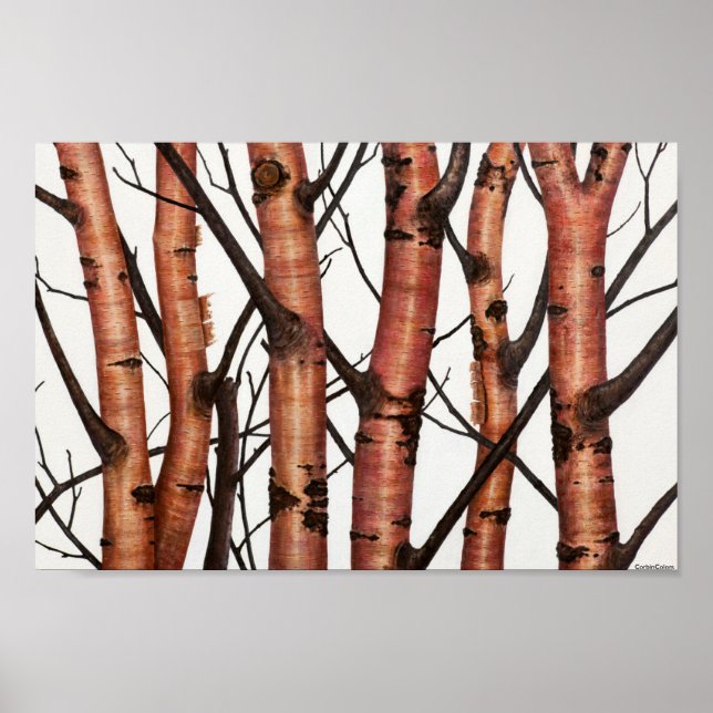 abedules rojos poster (Framsidan)