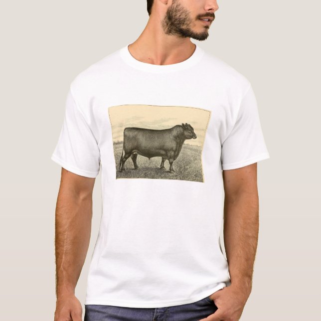 Aberdeen Angus T-tröja T-shirt (Framsida)