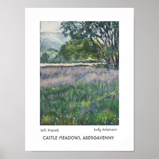 "Abergavenny" Castle Meadows Skriv ut/Poster Poster (Framsidan)