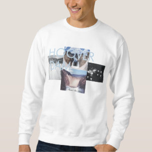ABH-dammsugarefördämning Sweatshirt