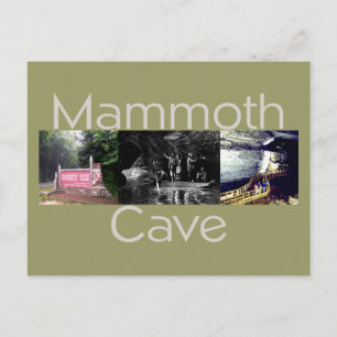 ABH Mammoth Cave Vykort