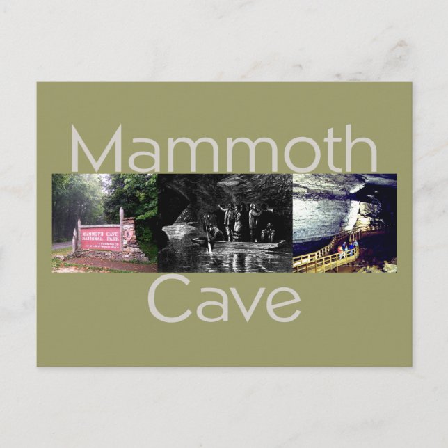 ABH Mammoth Cave Vykort (Framsida)