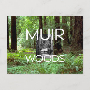 ABH Muir Skogen Vykort