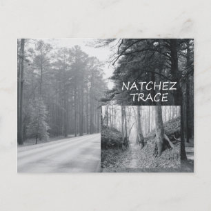 ABH Natchez Trace Vykort