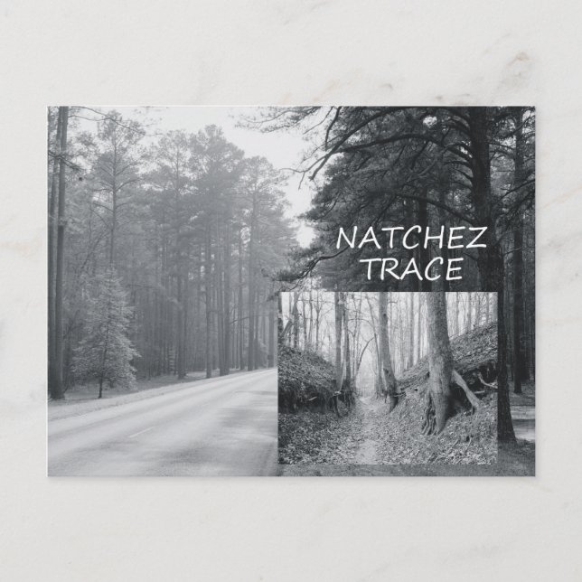 ABH Natchez Trace Vykort (Framsida)