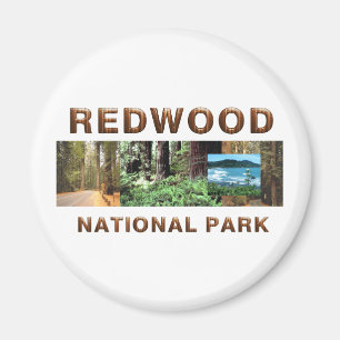 ABH-redwoodträd Magnet