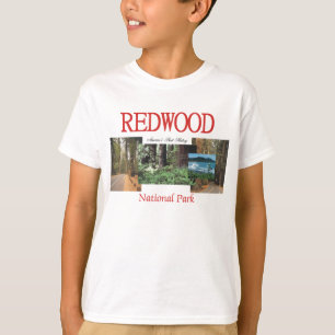 ABH-redwoodträd Tee
