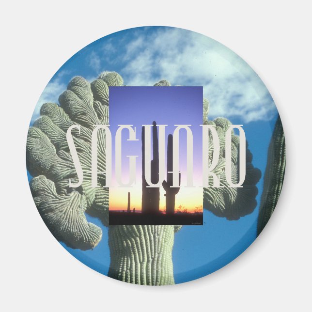 ABH Saguaro Magnet (Framsidan)