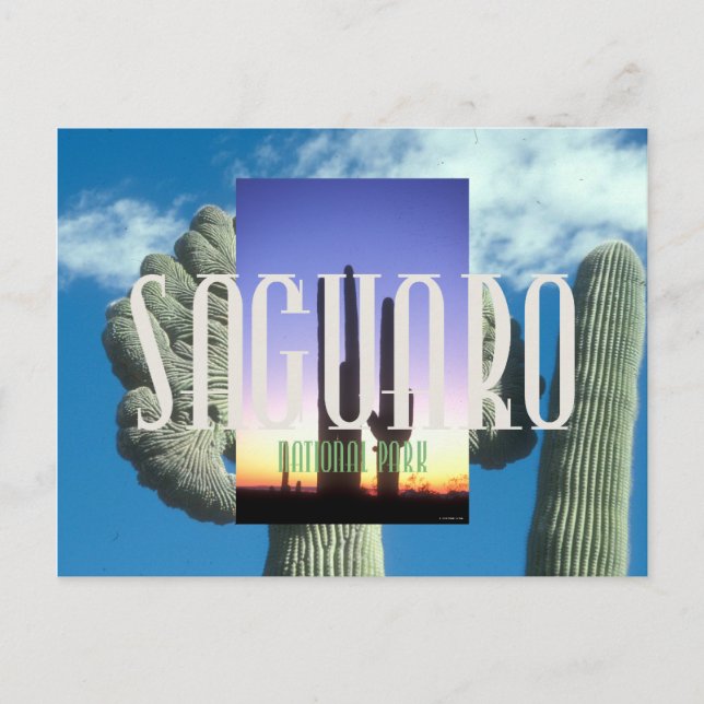 ABH Saguaro Vykort (Framsida)