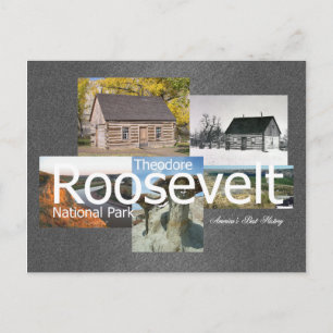 ABH Theodore Roosevelt NP Vykort