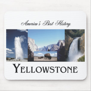 ABH Yellowstone Musmatta