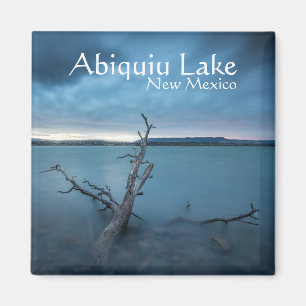 Abiquiu Sjö Souvenir Magnet