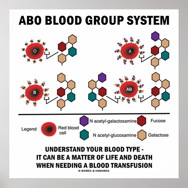 ABO Blood Group System förstår blodtyp Poster (Framsidan)
