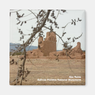 Abo Ruins Salinas Pueblos National Mon... Magnet