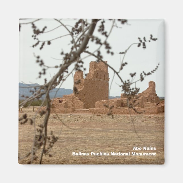 Abo Ruins Salinas Pueblos National Mon... Magnet (Framsidan)