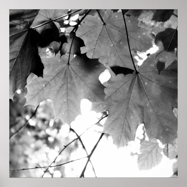 Above Poster (Framsidan)