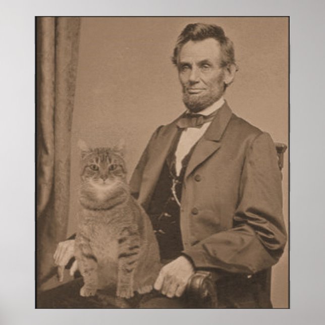 Abraham Lincoln och hans katt Gloria Poster (Framsidan)
