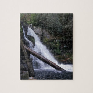 Abrams Falls Pussel