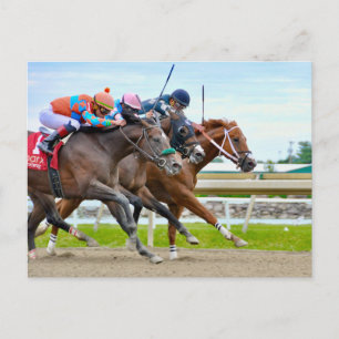 Absentee- Irad Ortiz jr. Camgo, Irish Roar Vykort