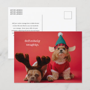 Absolut Naughty Pet Photo Cute Jul Helg Vykort