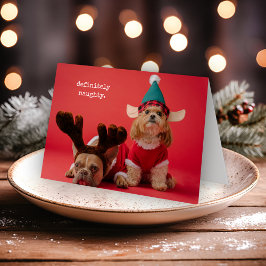 Absolut Naughty Pet Photo Cute Jul Helgkort
