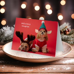 Absolut Naughty Pet Photo Cute Jul Helgkort