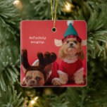 Absolut Naughty Pet Photo Cute Jul Julgransprydnad Keramik<br><div class="desc">Klar julprydnad med en enkel design med meddelandet "definitivt stel" över ditt favoritfoto eller din hund eller katt. Använda samma bild och hälsning på framsidan och baksidan eller användan på mallen för att ändra dem på båda sidor.</div>