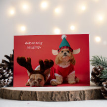Absolut Naughty Pet Photo Cute Jul