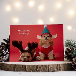 Absolut Naughty Pet Photo Cute Jul Julkort