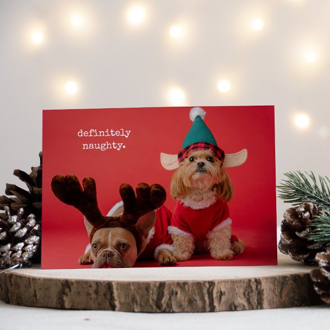 Absolut Naughty Pet Photo Cute Jul Julkort (Skapare uppladdad)