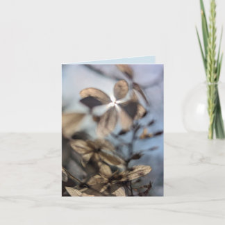 Abstract Hydrangea Kort