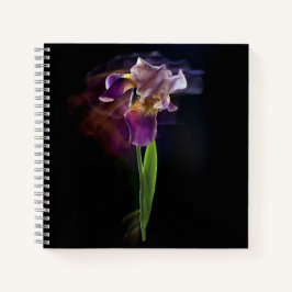 Abstract Iris Flower – Elegant Floral Art