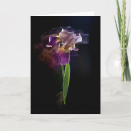 Abstract Iris Flower – Elegant Floral Art Kort