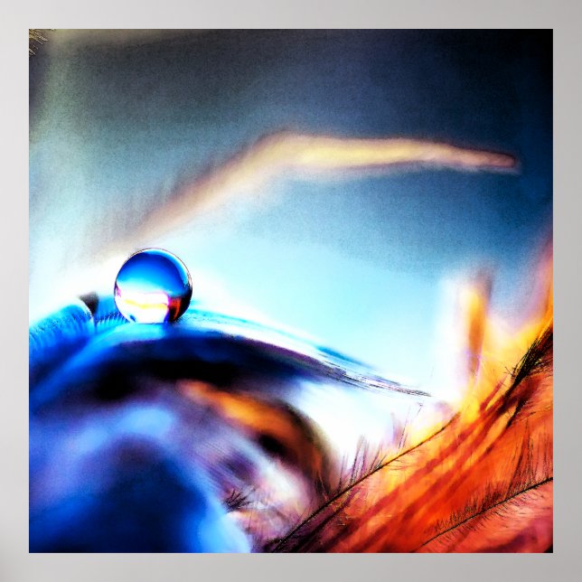 Abstract Water Droplet Vibrant Macro Photography  Poster (Framsidan)