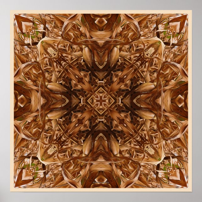 Abstrakt 16 för torrt Maj-skal Poster (Framsidan)